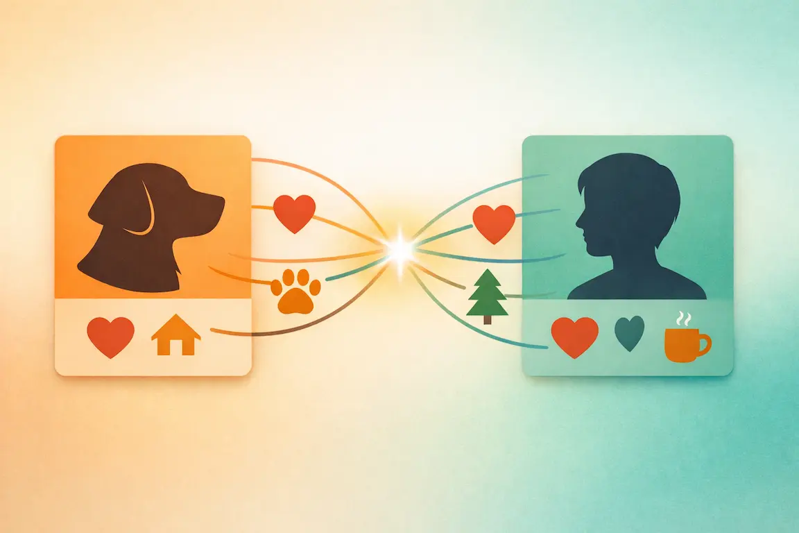 Cover for AI Pet Adoption Matching: How PawPlacer Built It